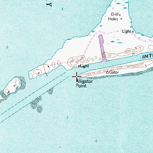 Topographic Map of Alligator Point, TX