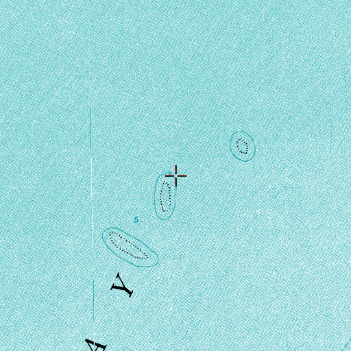 Topographic Map of Thompsons Towheads, TX