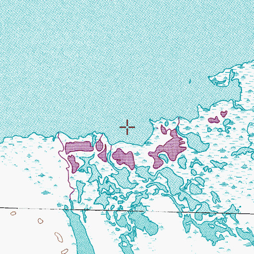 Topographic Map of Spring Bayou Cove, TX