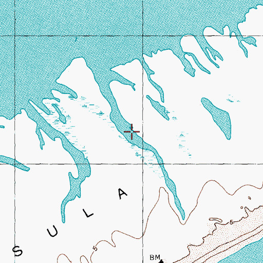 Topographic Map of Phillips Bayou, TX