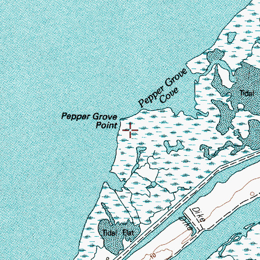 Topographic Map of Pepper Grove Point, TX