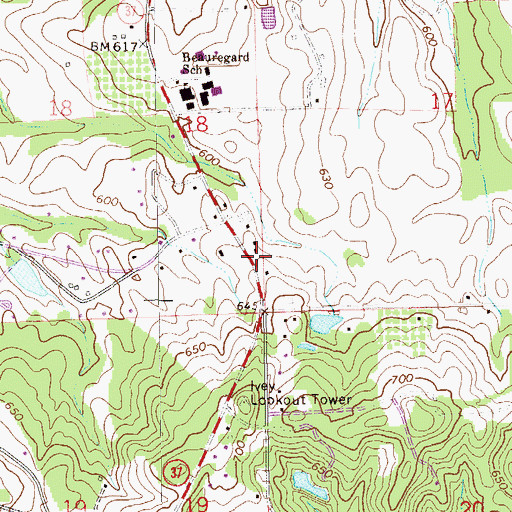 Topographic Map of Beauregard, AL
