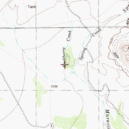 Topographic Map of Hackberry Creek, TX