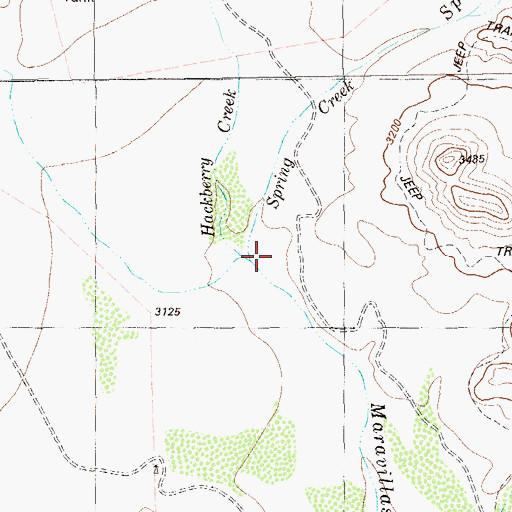 Topographic Map of Spring Creek, TX