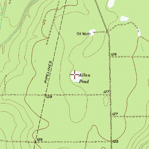 Topographic Map of Allan Pond, TX