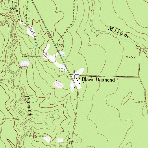 Topographic Map of Black Diamond, TX
