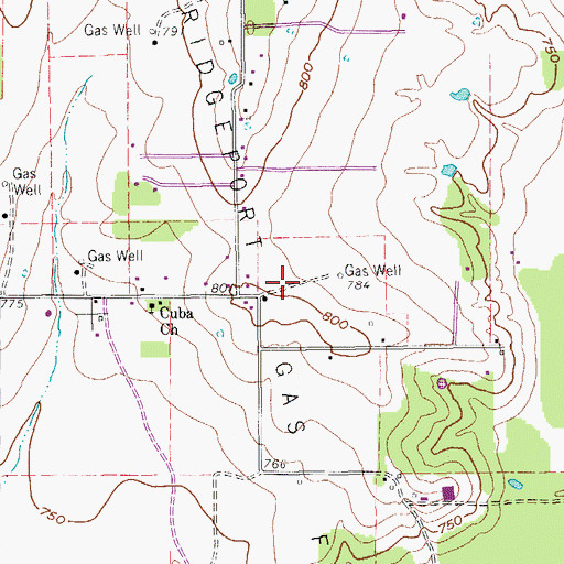 Topographic Map of Bridgeport Gas Field, TX