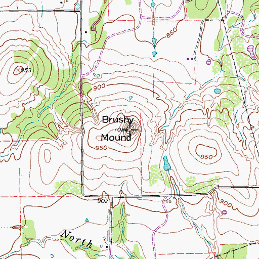 Topographic Map of Brushy Mound, TX