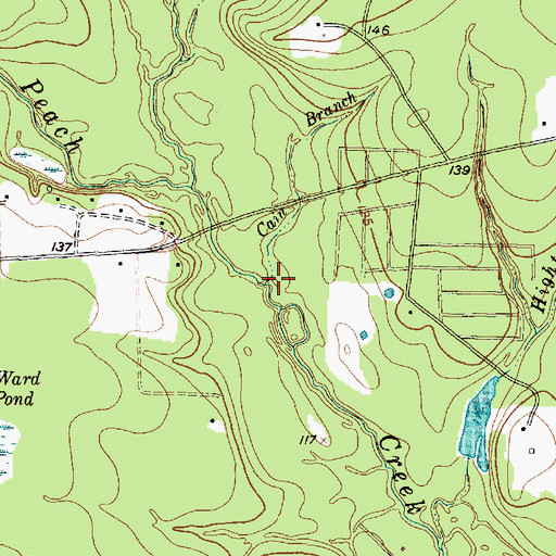 Topographic Map of Cain Branch, TX