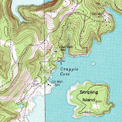 Topographic Map of Crappie Cove, TX