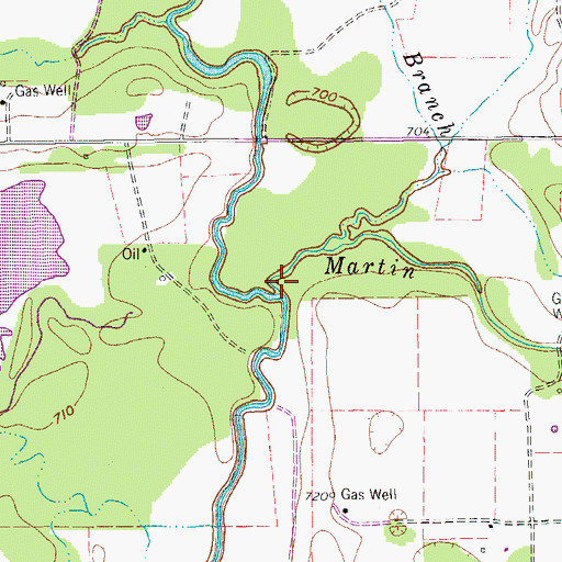 Topographic Map of Martin Branch, TX