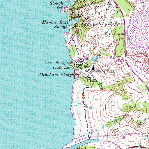 Topographic Map of Meacham Slough, TX