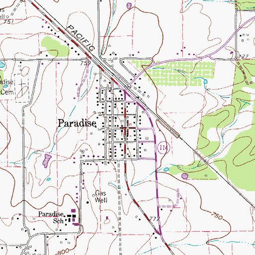 Topographic Map of Paradise, TX