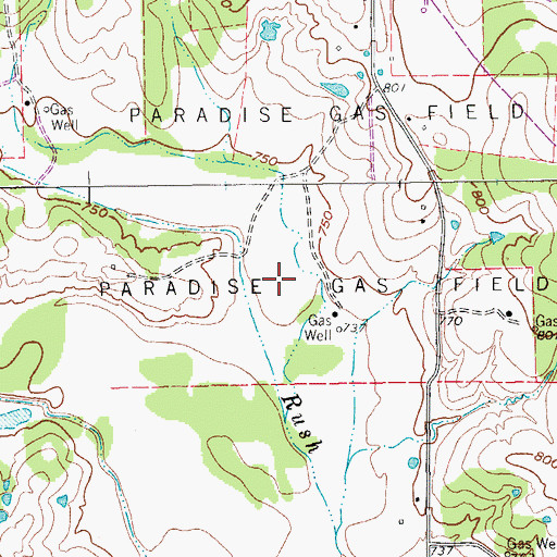 Topographic Map of Paradise Gas Field, TX