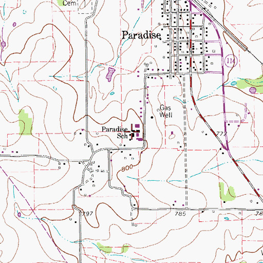 Topographic Map of Paradise School, TX