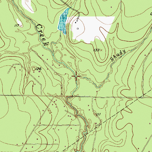 Topographic Map of Shady Run, TX