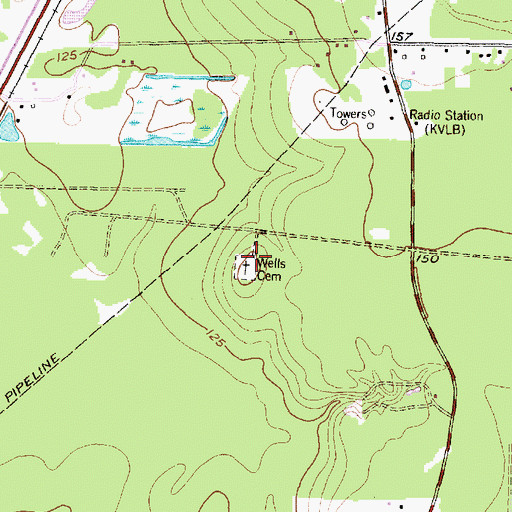 Topographic Map of Wells Cemetery, TX