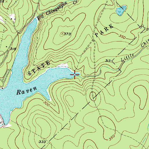 Topographic Map of Little Chinquapin Creek, TX
