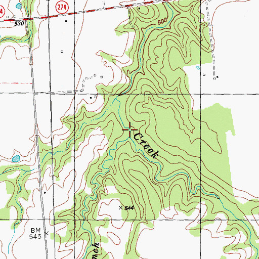 Topographic Map of Anthony Branch, TX