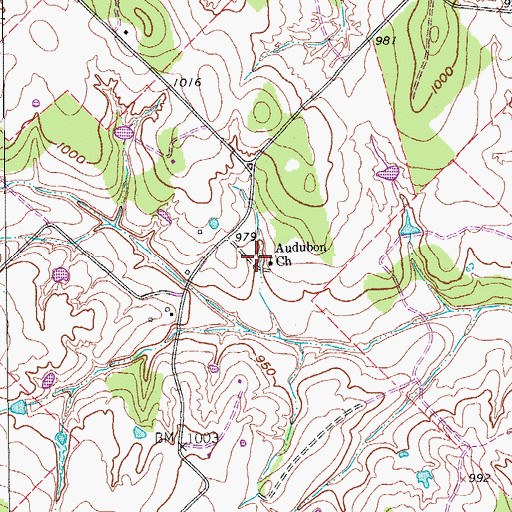 Topographic Map of Audubon Church, TX
