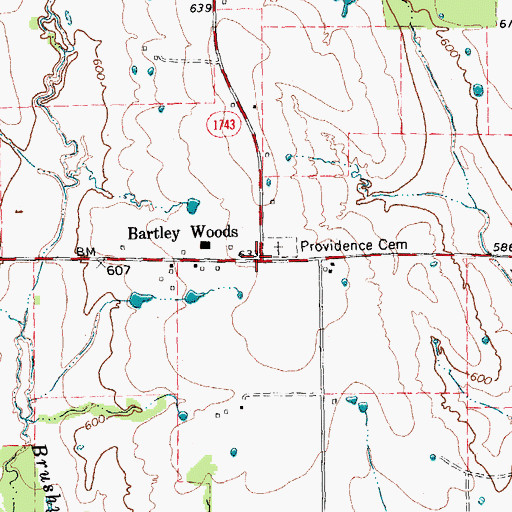 Topographic Map of Bartley Woods, TX
