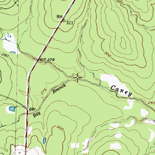 Topographic Map of Bay Branch, TX
