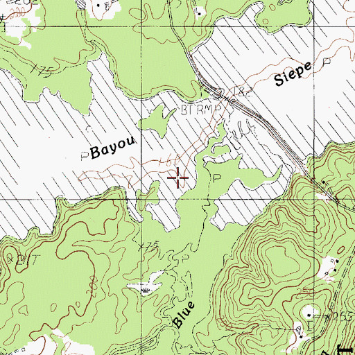 Topographic Map of Bayou Blue, TX