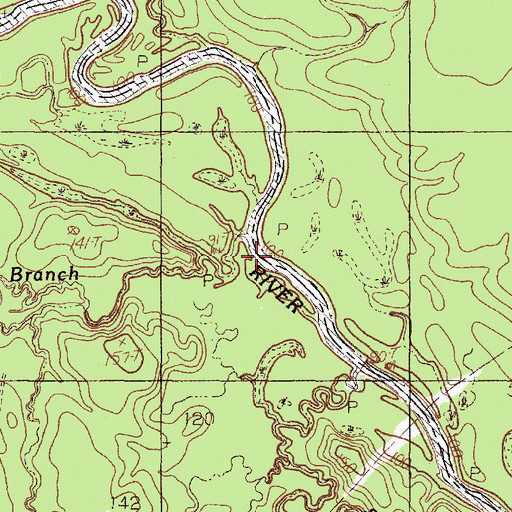 Topographic Map of Beale Branch, TX
