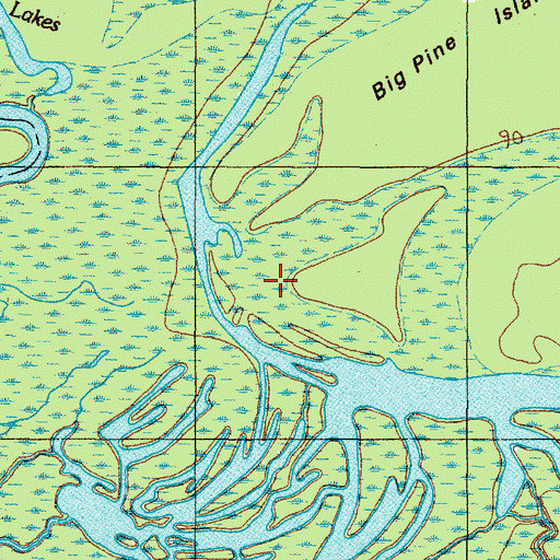 Topographic Map of Bee Tree Swamp, TX