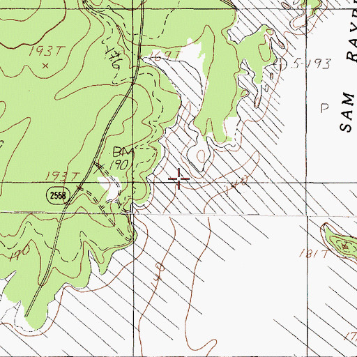 Topographic Map of Beech Branch, TX