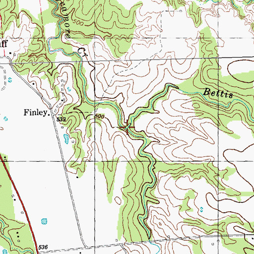 Topographic Map of Bettis Creek, TX
