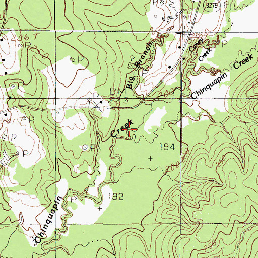 Topographic Map of Big Branch, TX