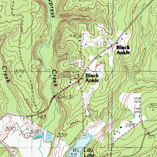 Topographic Map of Black Ankle, TX