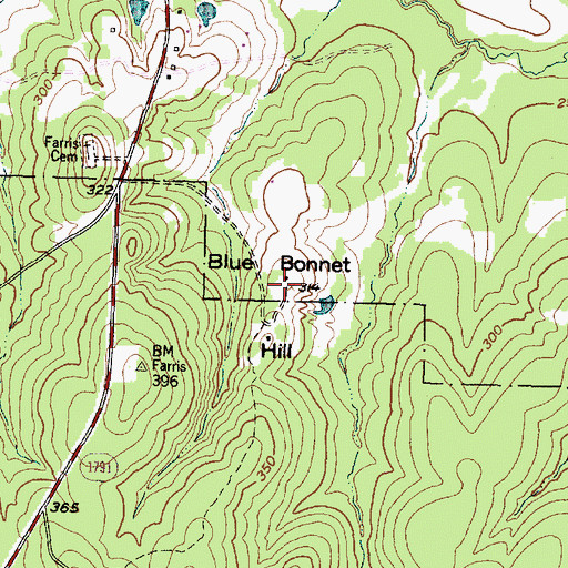 Topographic Map of Blue Bonnet Hill, TX