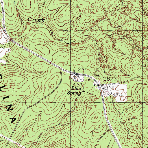 Topographic Map of Blue Spring Cemetery, TX