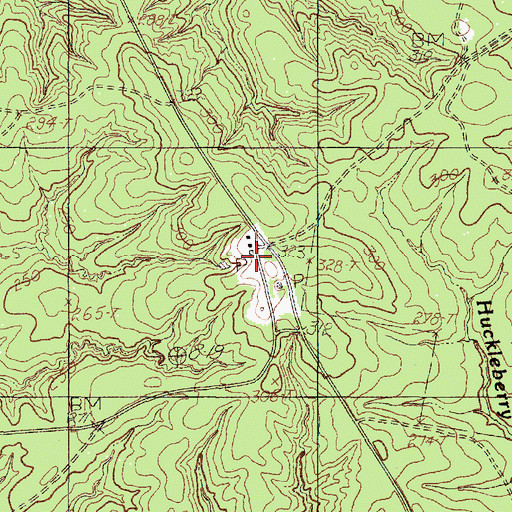 Topographic Map of Blue Springs, TX