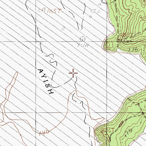 Topographic Map of Briar Branch, TX