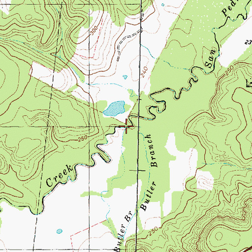 Topographic Map of Butler Branch, TX