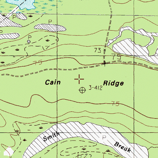Topographic Map of Cain Ridge, TX