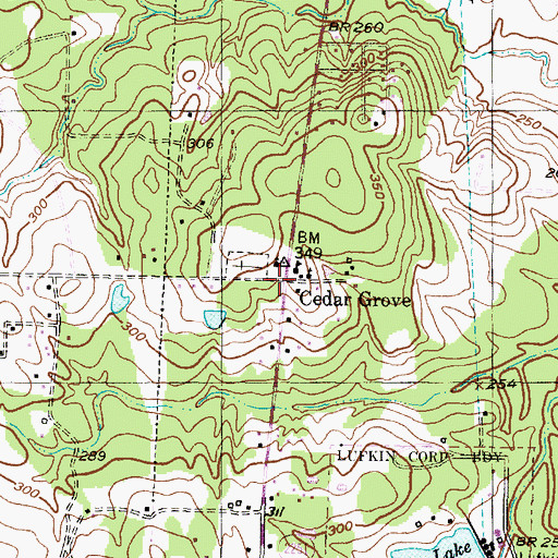 Topographic Map of Cedar Grove, TX