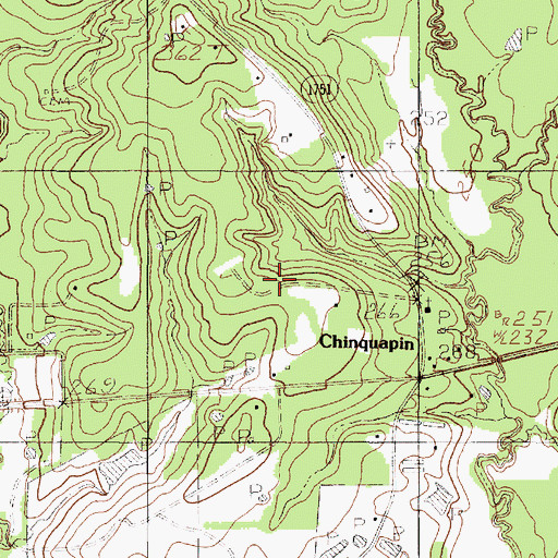 Topographic Map of Chinquapin, TX