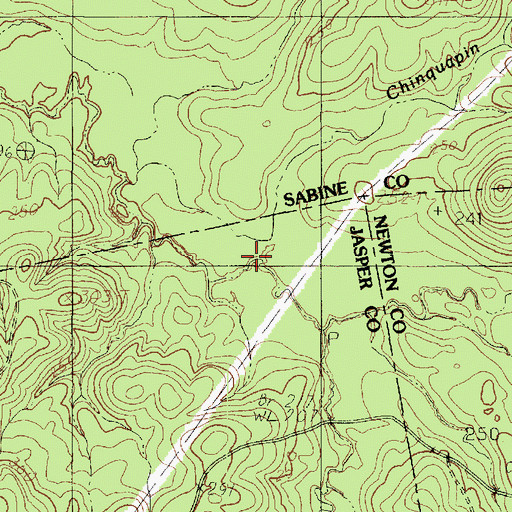 Topographic Map of Chinquapin Branch, TX