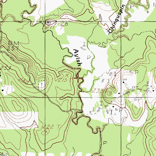 Topographic Map of Chinquapin Creek, TX