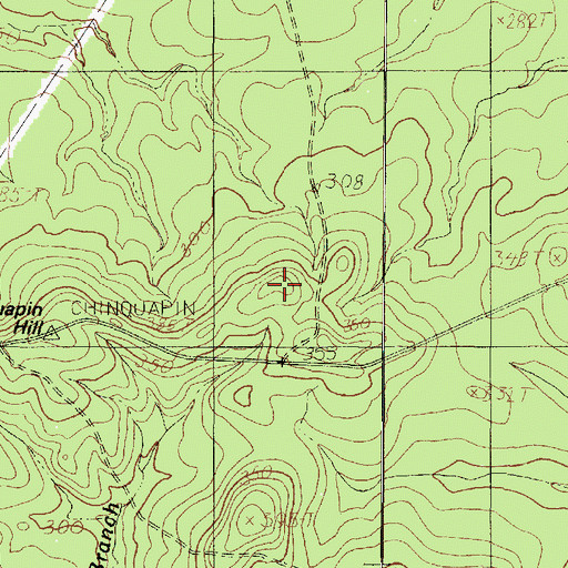 Topographic Map of Chinquapin Hill, TX