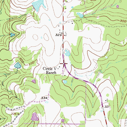Topographic Map of Circle V Ranch, TX