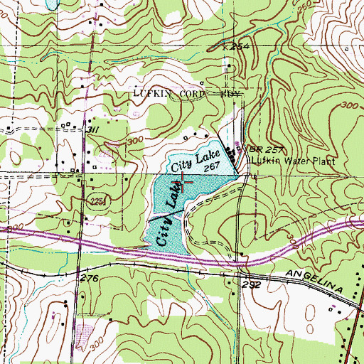 Topographic Map of City Lake, TX