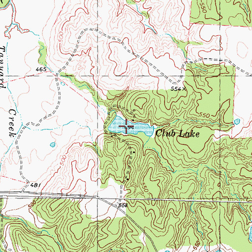 Topographic Map of Club Lake, TX