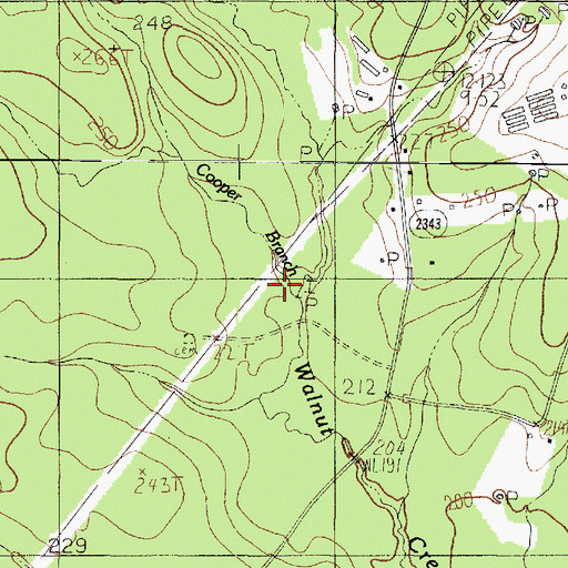 Topographic Map of Cooper Branch, TX