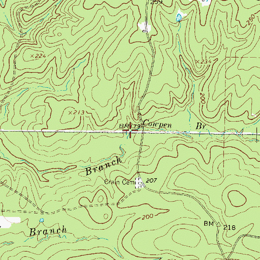 Topographic Map of Cowpen Branch, TX
