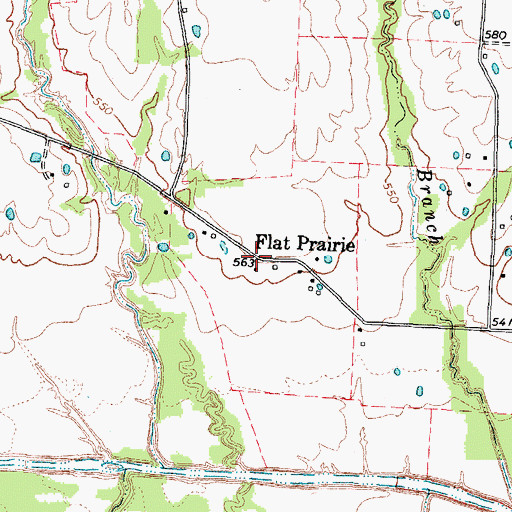 Topographic Map of Flat Prairie, TX